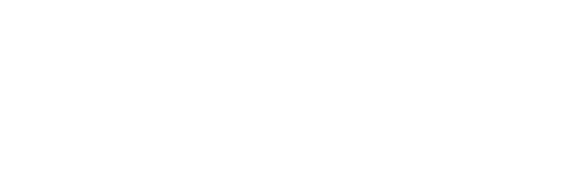 Seer Interactive